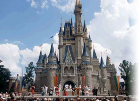 Disney™ Magic Kingdom